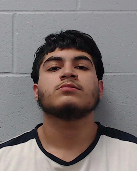 Llanos, Michael Angel booking photo