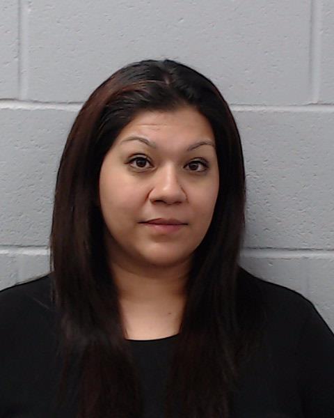 REYES, ANA ELISA booking photo