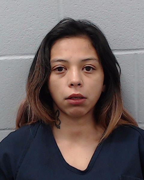 Lara-Cornejo, Erica booking photo