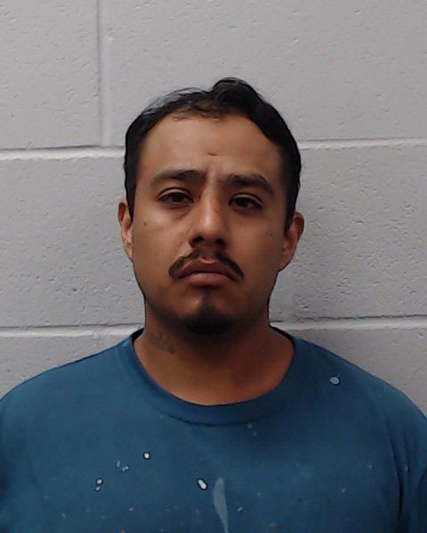 Manuel, Irving Govani booking photo