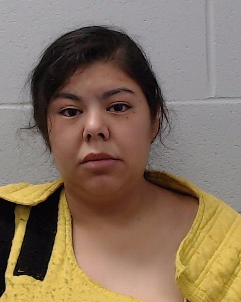Barraza-Garcia, Irene booking photo