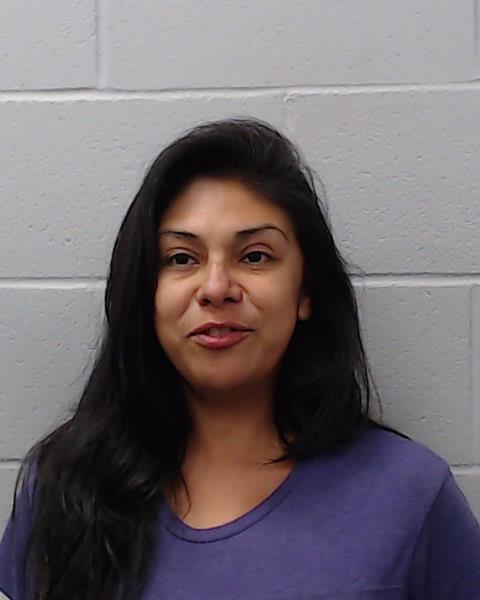 Castro, Amy Hernandez booking photo