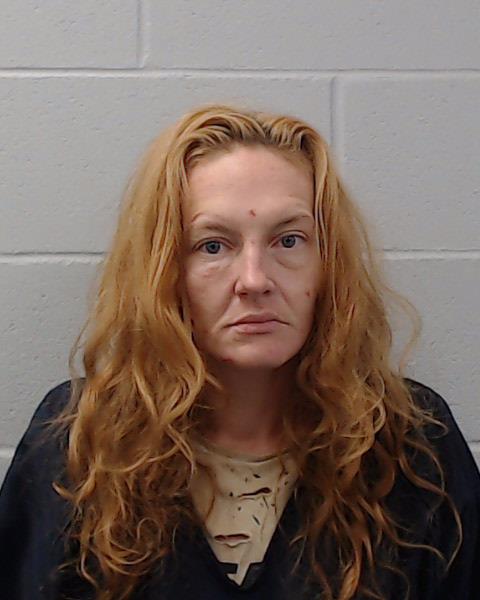 Pettit, Anne Elizabeth booking photo