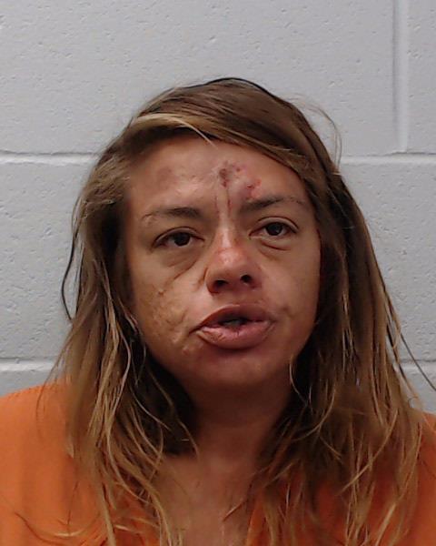 Castro, Samantha Lynn booking photo