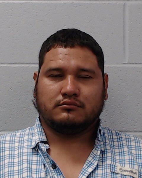 Reyna Acosta, Christian booking photo