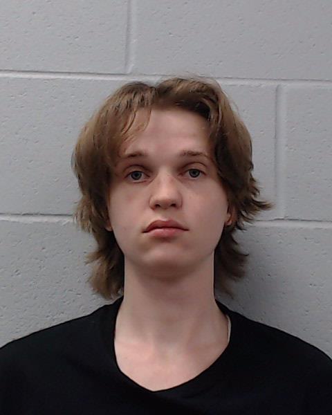 Niles, Reagan Allen booking photo