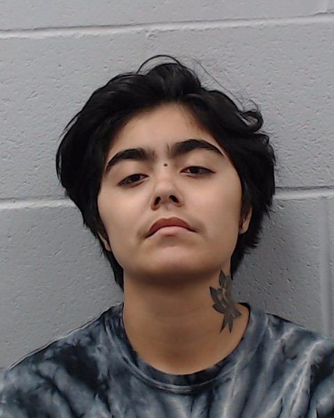 Longoria, Lilliana Monique booking photo