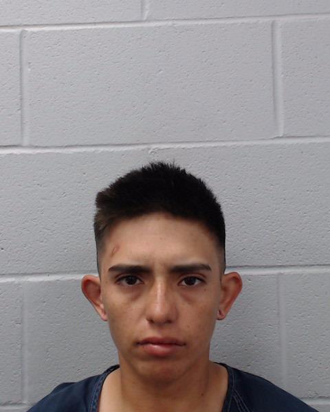 Villegas, Adriana Nicole booking photo