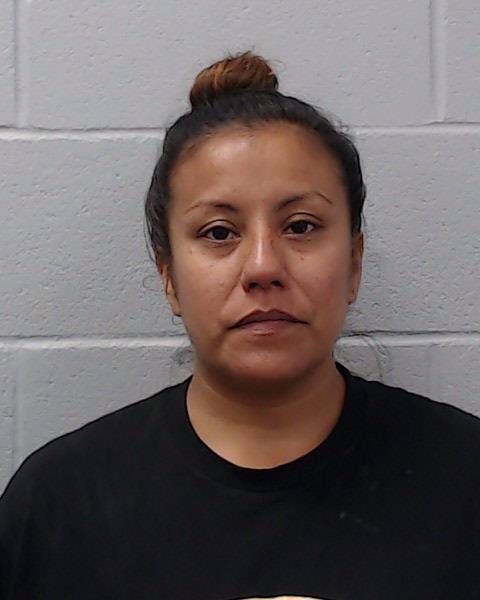 Chavez, Marisol G booking photo