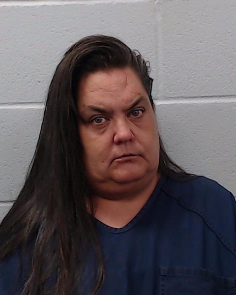 Brock, Amy booking photo