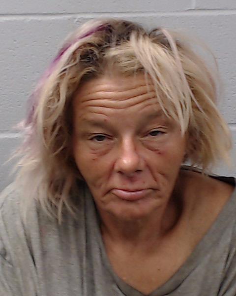 Peck, Christina Marie arrested by Hays County SO/PD
