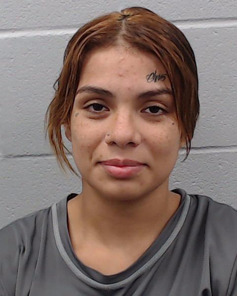 Trevino, Lisa Marie booking photo