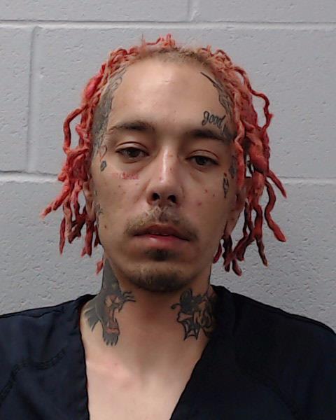 Fitzgerald, Brandon James arrested by Hays County SO/PD