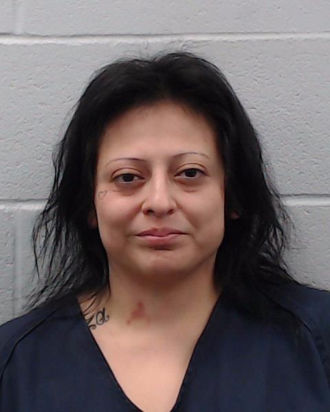 Trevino, Michelle Marie arrested by Hays County SO/PD