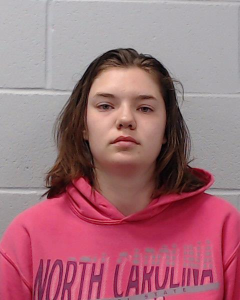 Gerdes, Christina Nicole arrested by Hays County SO/PD