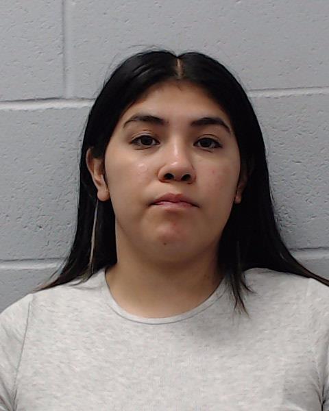 Santander, Natalie Marie arrested by Hays County SO/PD