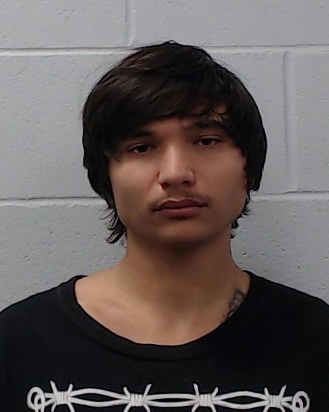 Martinez Pangarakis, Nathan Alexander booking photo