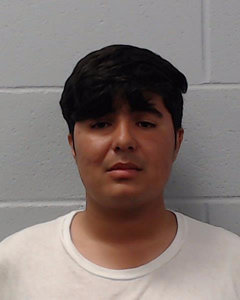 Martinez, Roy booking photo