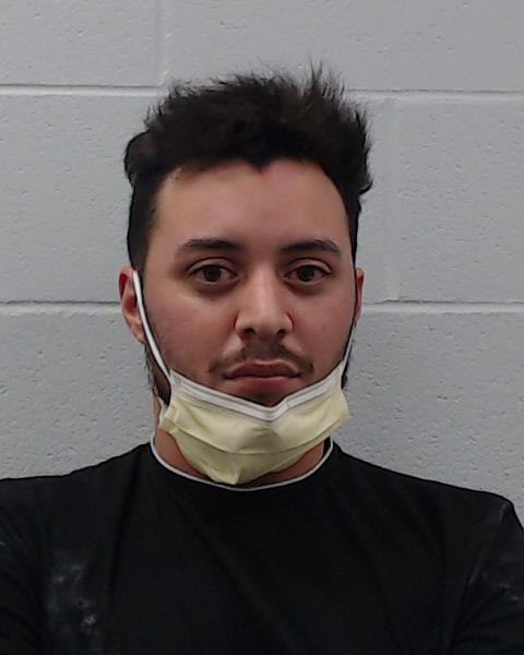 Palomino, Damon booking photo