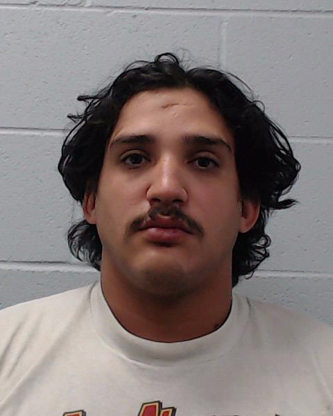 Del Bosque, Jesus Jaime booking photo