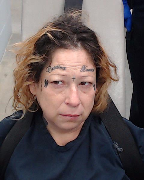 Guerrero, Michelle Rodriguez booking photo