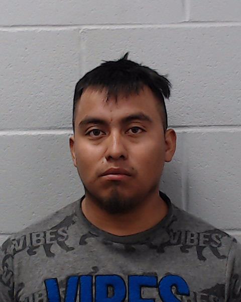 Moran Pop, Rony Noel booking photo