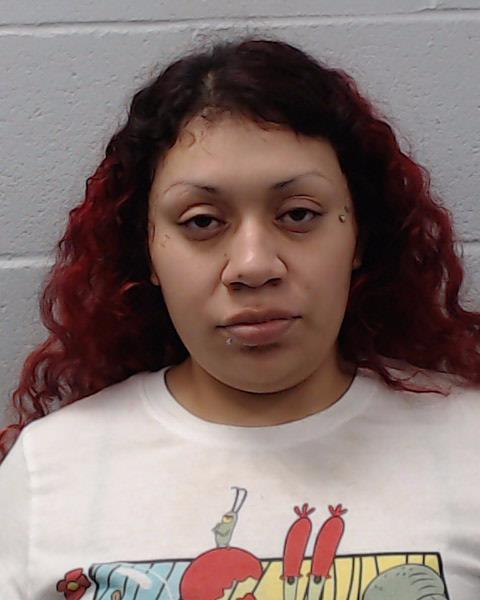 Hernandez, Nicolette Rene booking photo