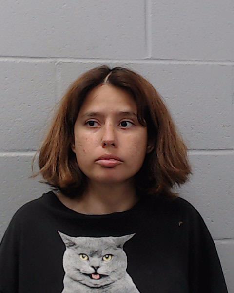 Maldonado, Brenda Michelle booking photo