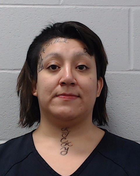 Roman, Abigail booking photo