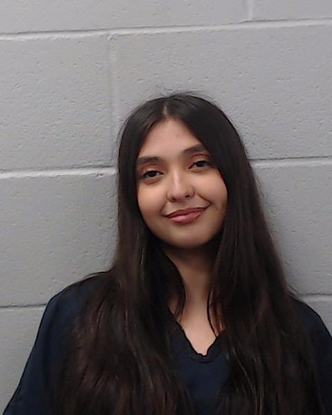 Burgin, Jamie Rebecca arrested by Hays County SO/PD