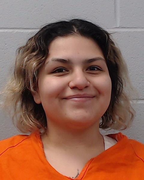 Chavez, Elena Sophia booking photo