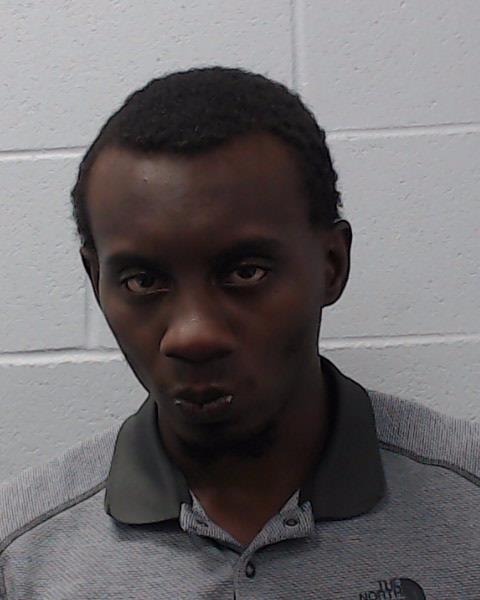 Sams, Levin Michael booking photo