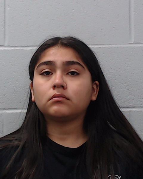 Martinez, Desiree Alexis booking photo