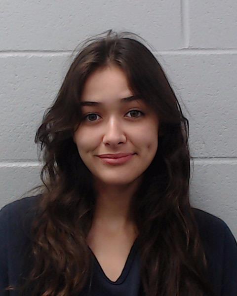 Hernandez, Analisa booking photo