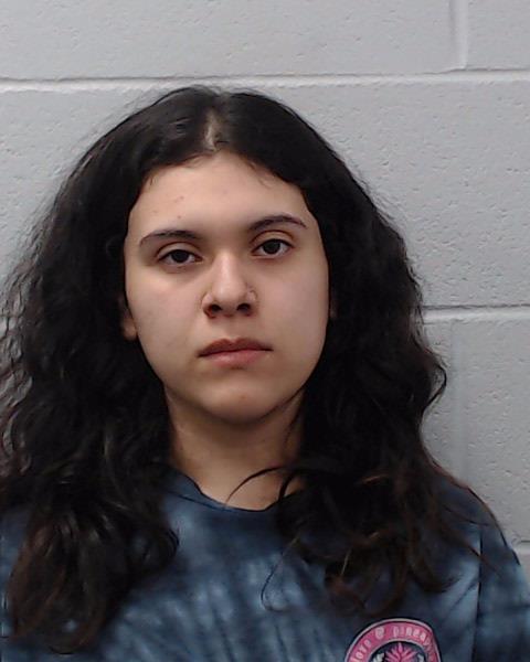 Alvarado-Araujo, Michelle booking photo