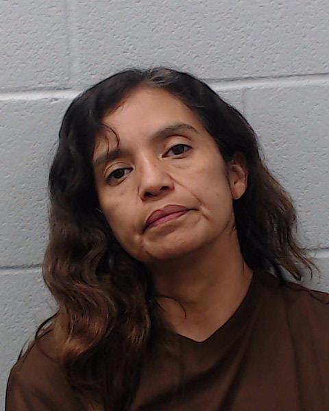Ramirez Lopez, Minerva Anne booking photo