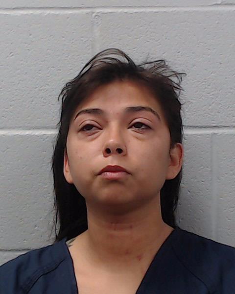 McGinty, Alexis Dawn arrested by Hays County SO/PD