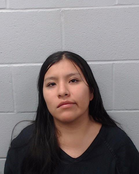 Illanes, Emma Elizabeth booking photo