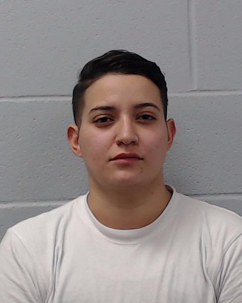 Bustamante, Lisa Guadalupe booking photo