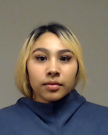 LUNA, ELAINE booking photo