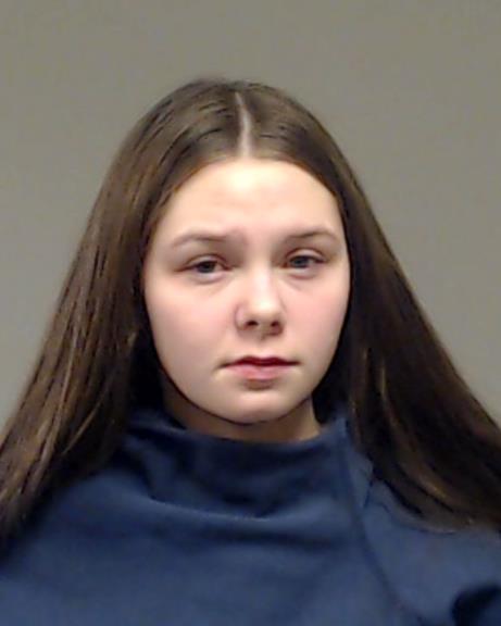 Vidler, Alexis Marie booking photo