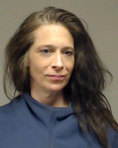 Wilkinson, Amanda Renee booking photo