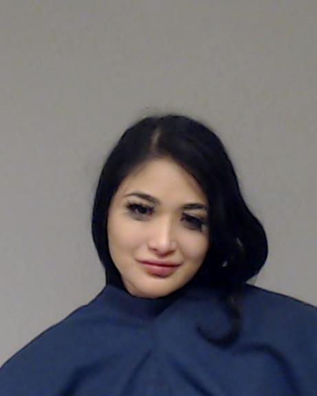 Mendoza Fernandez, Stephanie booking photo