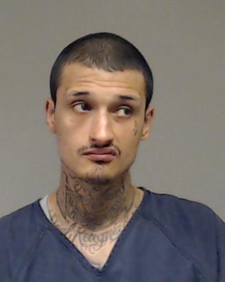 Swenson, Anthony Paul booking photo