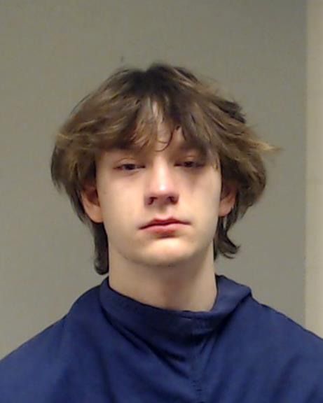 Bibikov, David booking photo