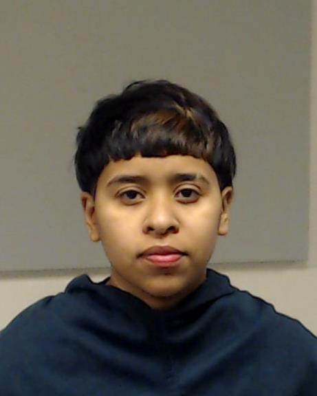 VARGAS, DELGADO GUADALUPE arrested by Collin County SO/PD