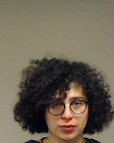 Sarceno, Davison Yunior booking photo