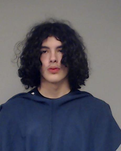 Robertson, Tristen Miah booking photo