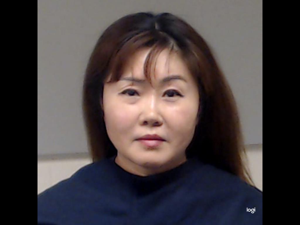 JIANG, YINGCHUN booking photo