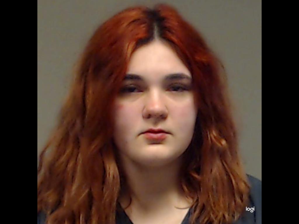 Lee, Katie Elizabeth booking photo